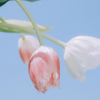 消暑|夏日歌单