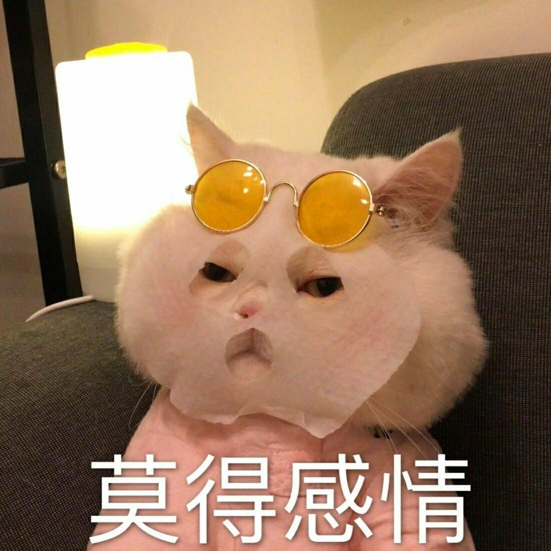 温柔是黑暗世界里永恒的光