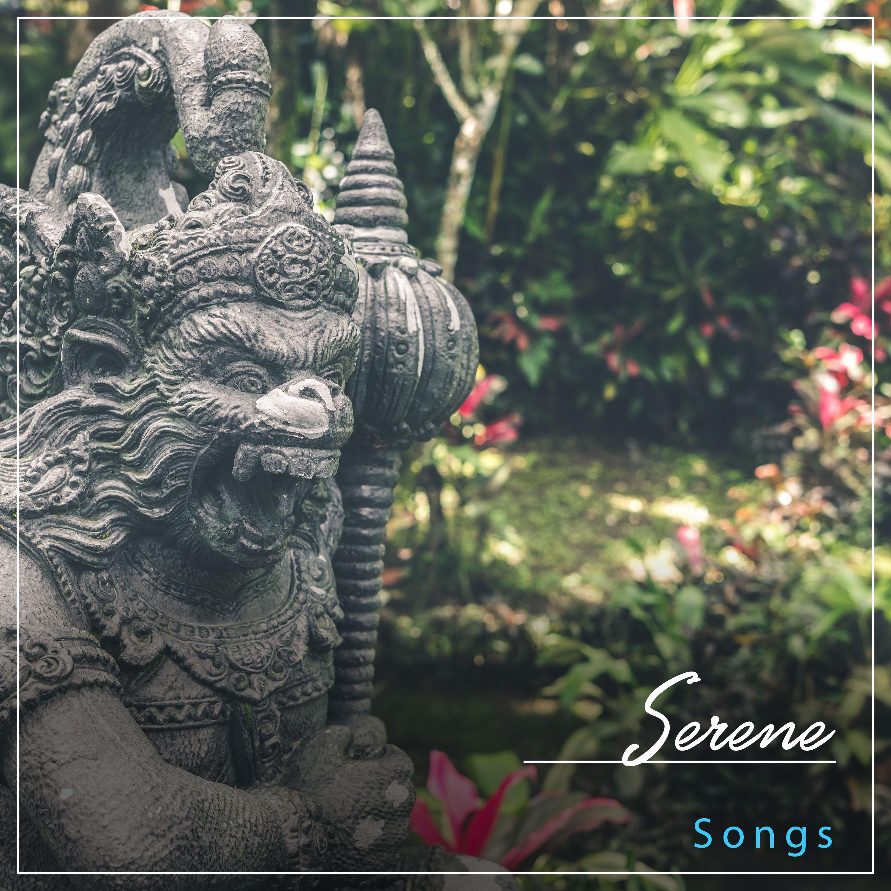 #15 Serene Songs for Yoga专辑