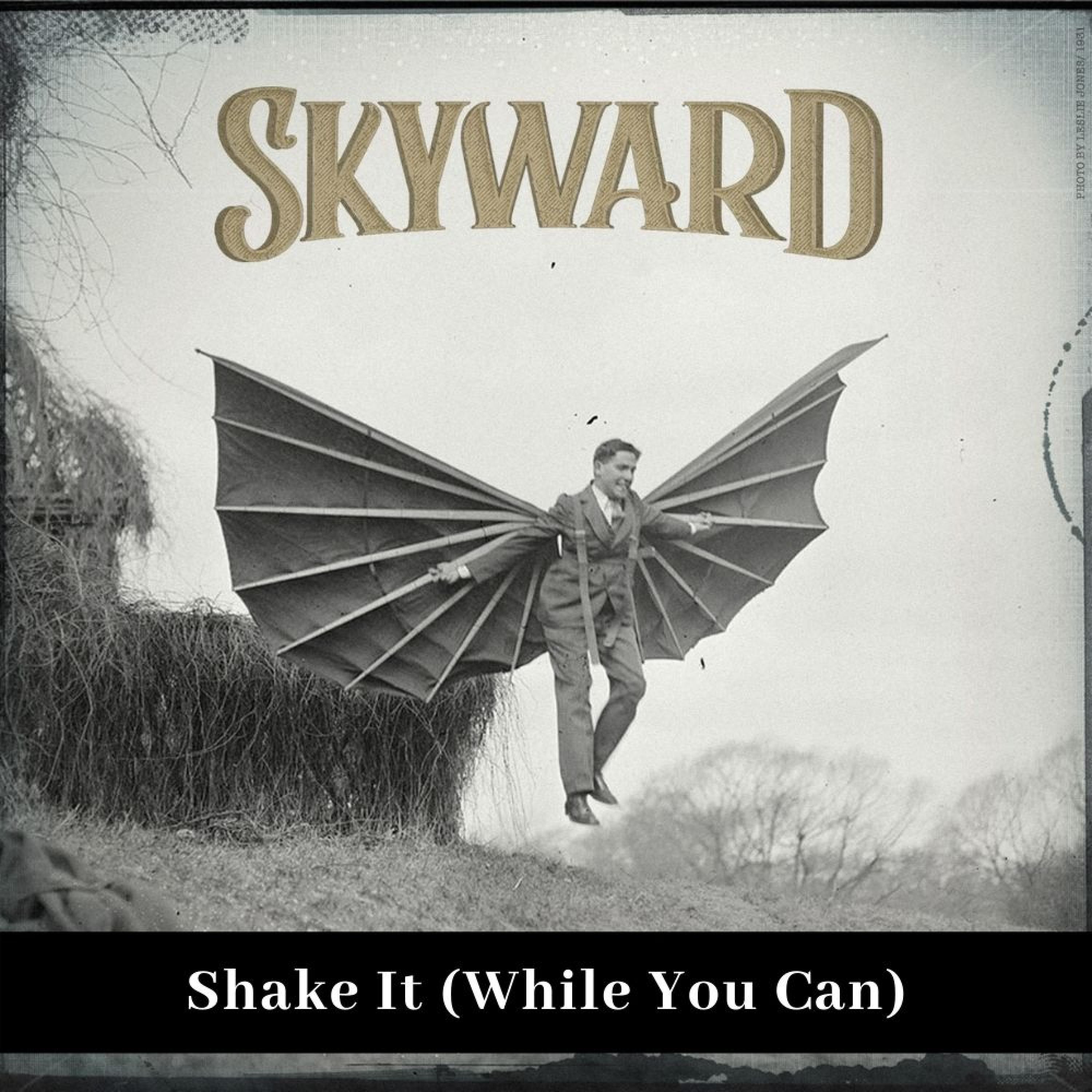 Shake It (While You Can)