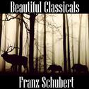 Beautiful Classicals: Franz Schubert专辑