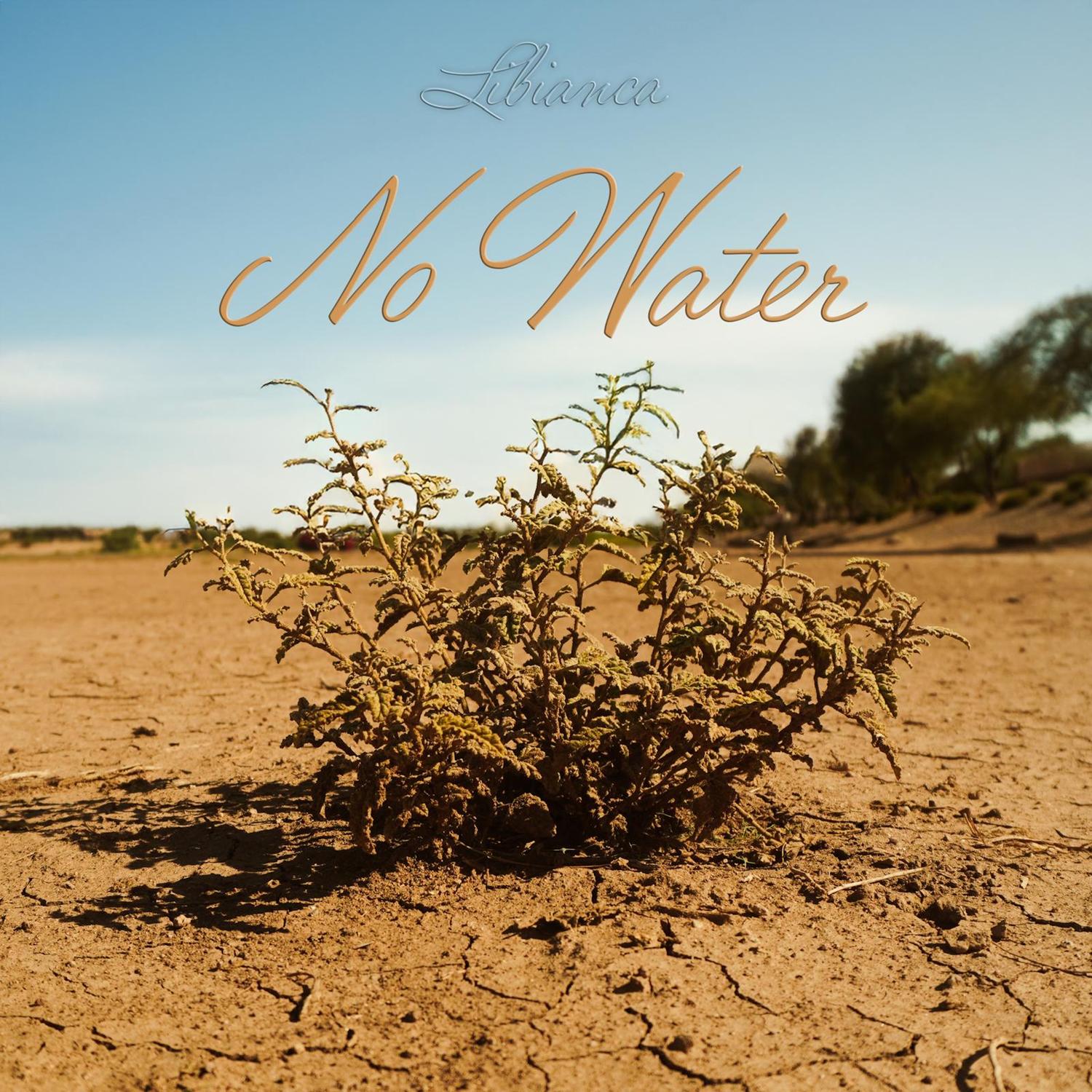 No Water
