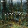 Royal Liverpool Philharmonic Orchestra - Má Vlast:IV. From Bohemian Woods and Fields