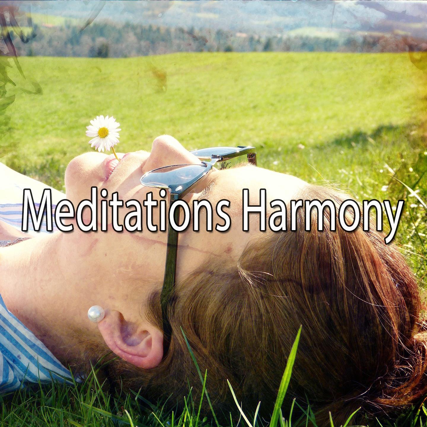 Meditations Harmony专辑