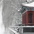 恰逢暮雪亦白头