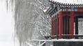 恰逢暮雪亦白头专辑