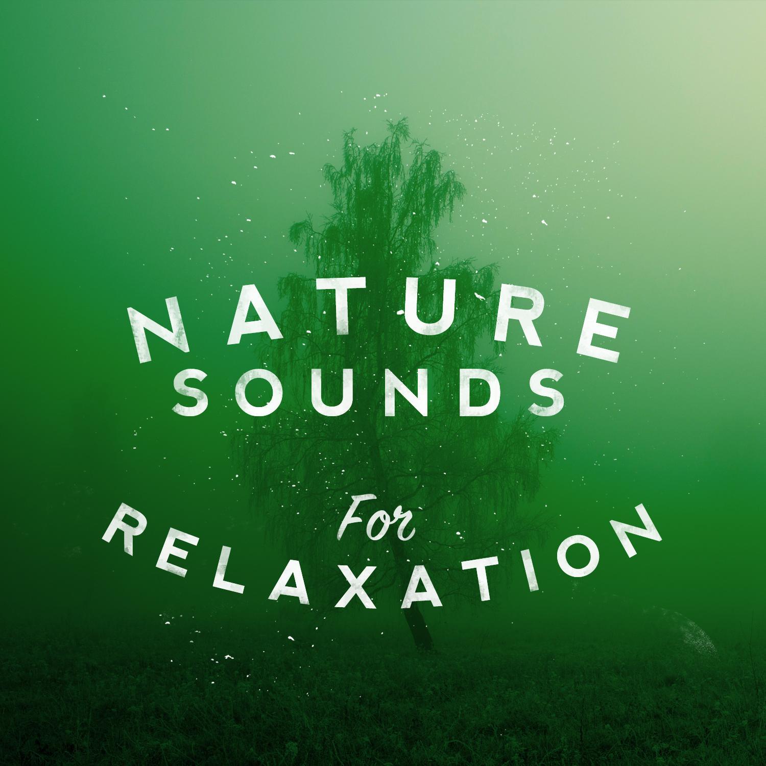 Nature Sounds for Relaxation