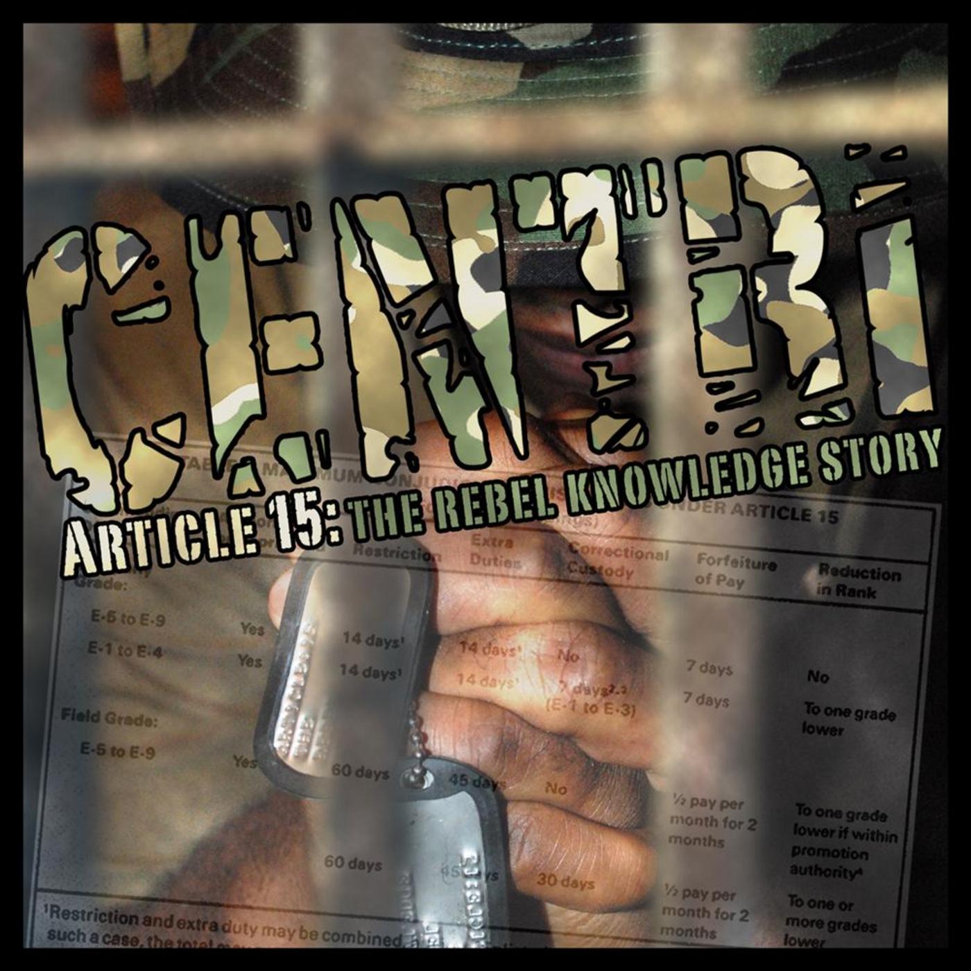 Article 15: The Rebel Knowledge Story