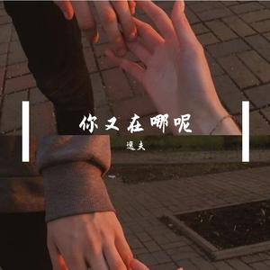 梅花 - 我伤心的时候你在哪