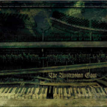 Piano & Stump