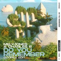 MelyJones & Charles B - Do You Remember (Coopex Edit) (Instrumental) 原版无和声伴奏