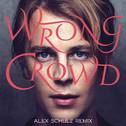 Wrong Crowd (Alex Schulz Remix)专辑