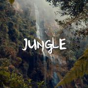 Jungle（荒野）