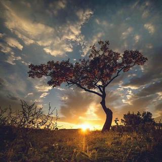 如果明天你还存在