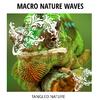 Chilled Waves Nature Library - Highly Colored Waves