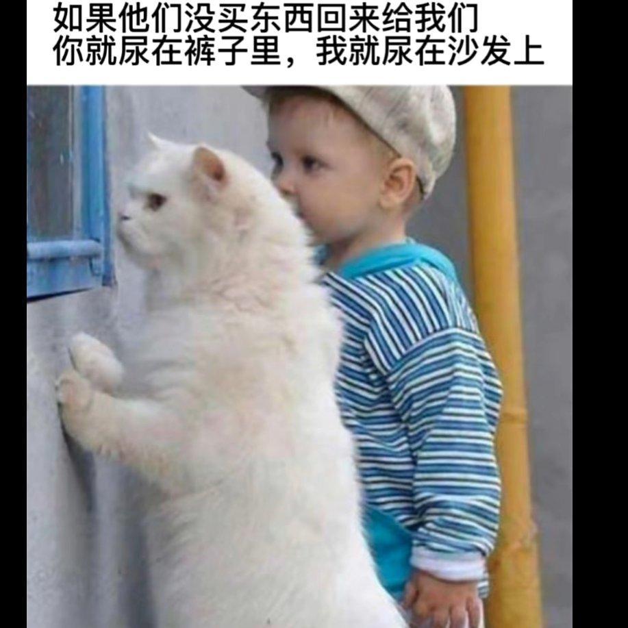 hit me hart「meme」 - 你是来找meme的吧!!!!(含梗图) - 电台节目 - 网易云音乐