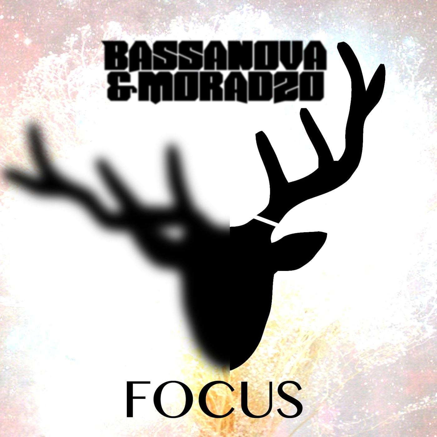 Focus