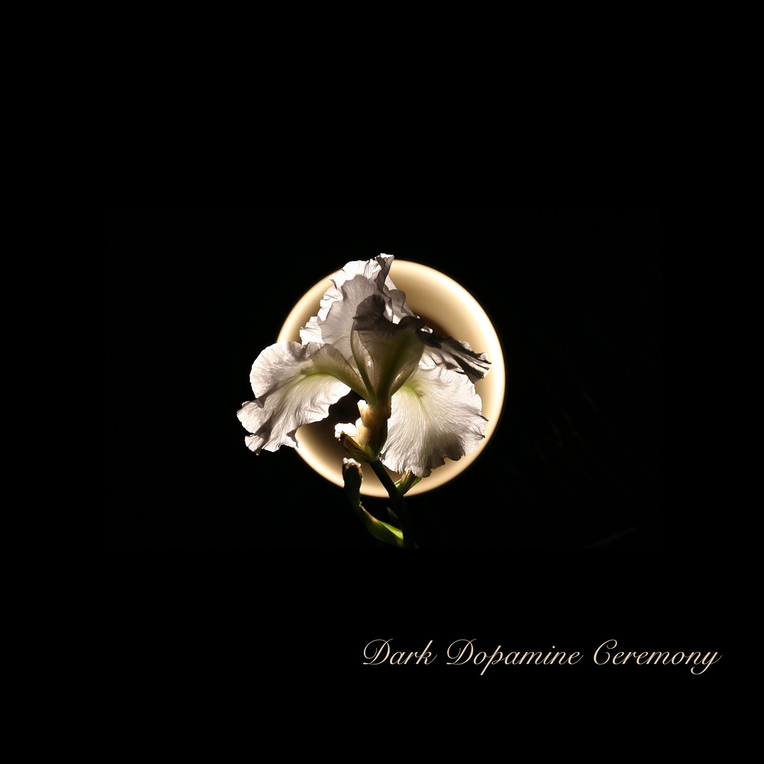 Dark Dopamine Ceremony