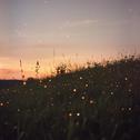 The Beginning专辑