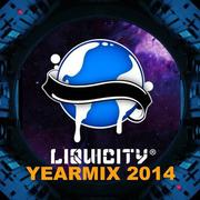 Liquicity Yearmix 2014