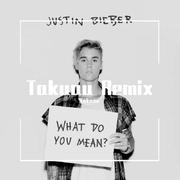 Various Artists-What Do You Mean（Justin Bieber / Takuau remix）