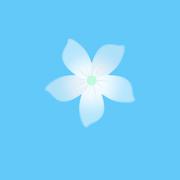 茉莉花