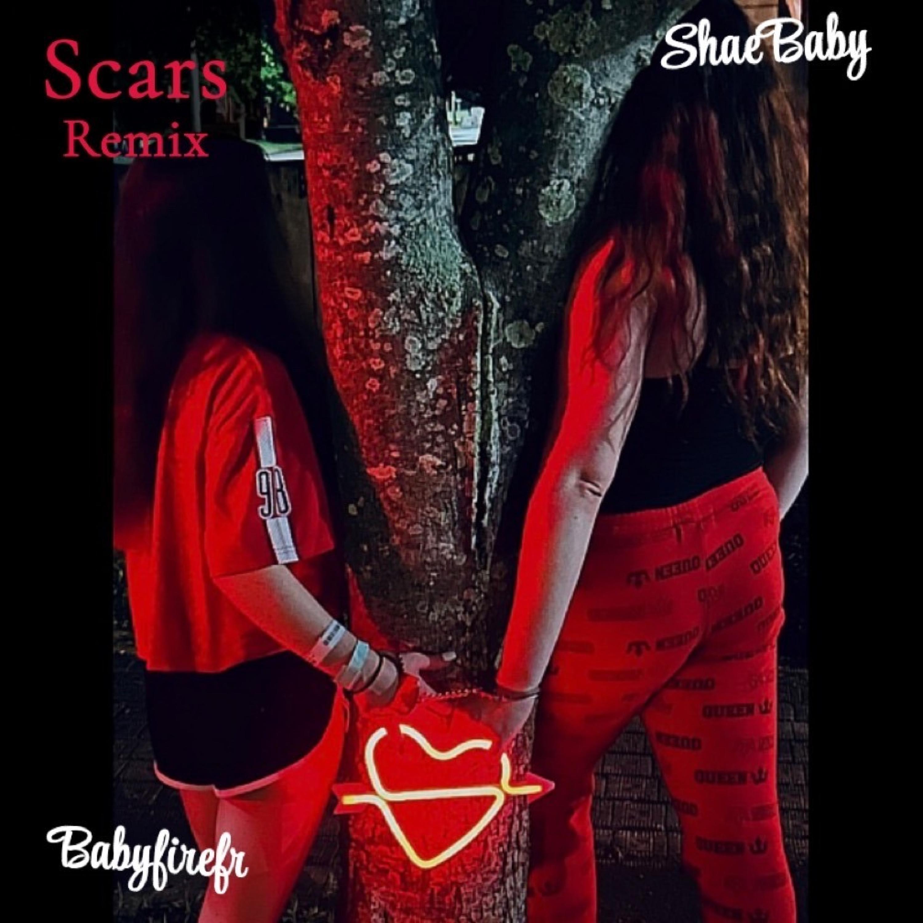 Scars Remix (feat. Shaebaby)