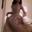 Dexter_9