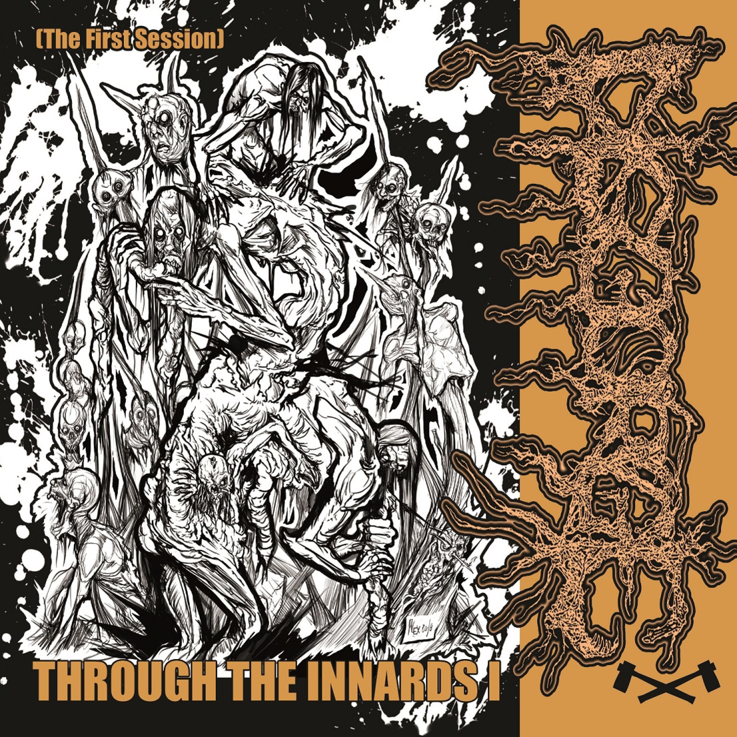 Through the Innards I (The First Session)