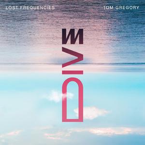 Lost Frequencies、Tom Gregory - Dive （升6半音）