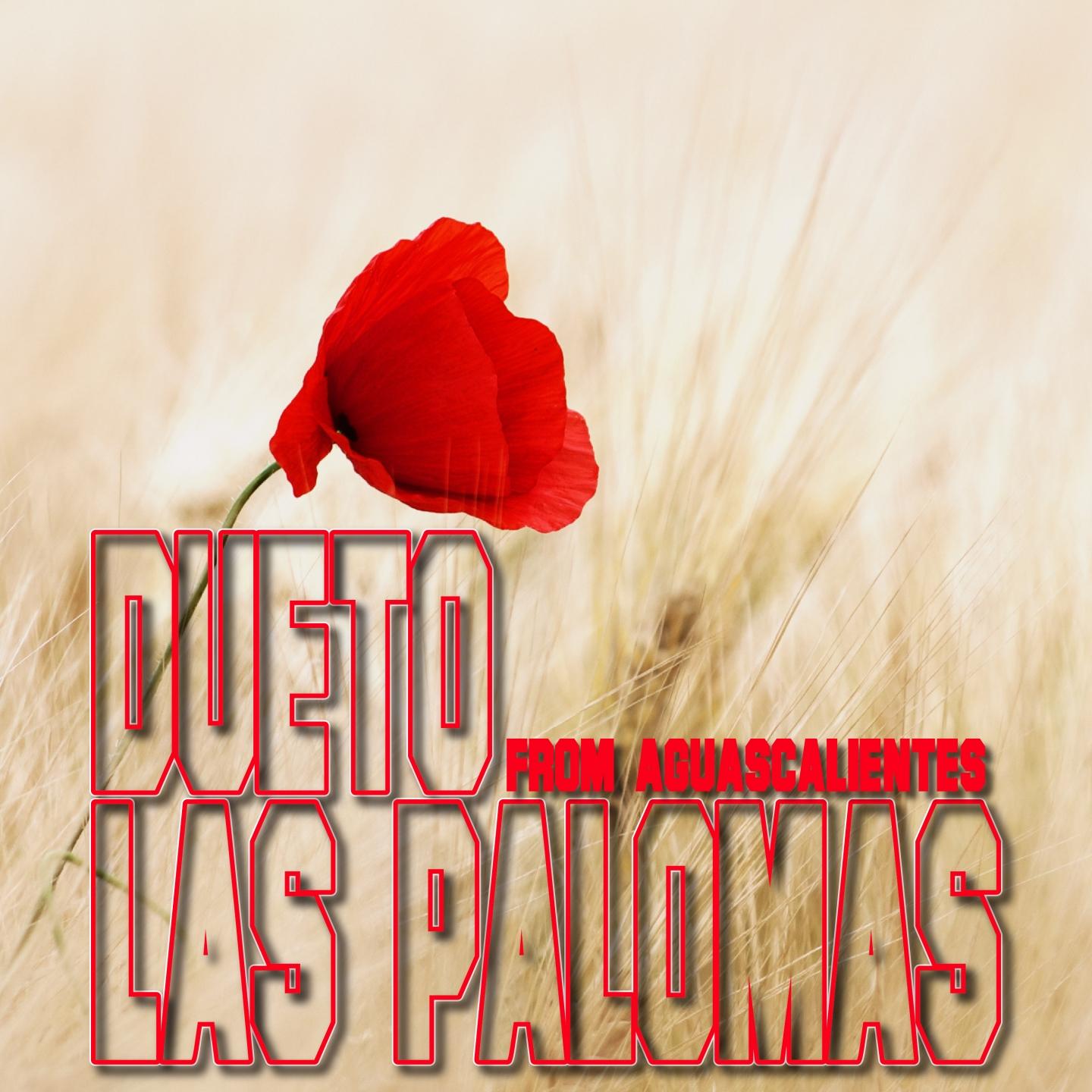 From Aguascalientes