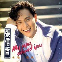 张信哲 - MY EYES ADORED YOU