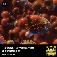 [DJ节目]春典JARGON的DJ节目 第586期