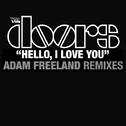 Hello, I Love You [Adam Freeland Mixes]专辑