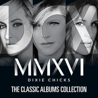 Once You ve Loved Somebody - Dixie Chicks (karaoke)