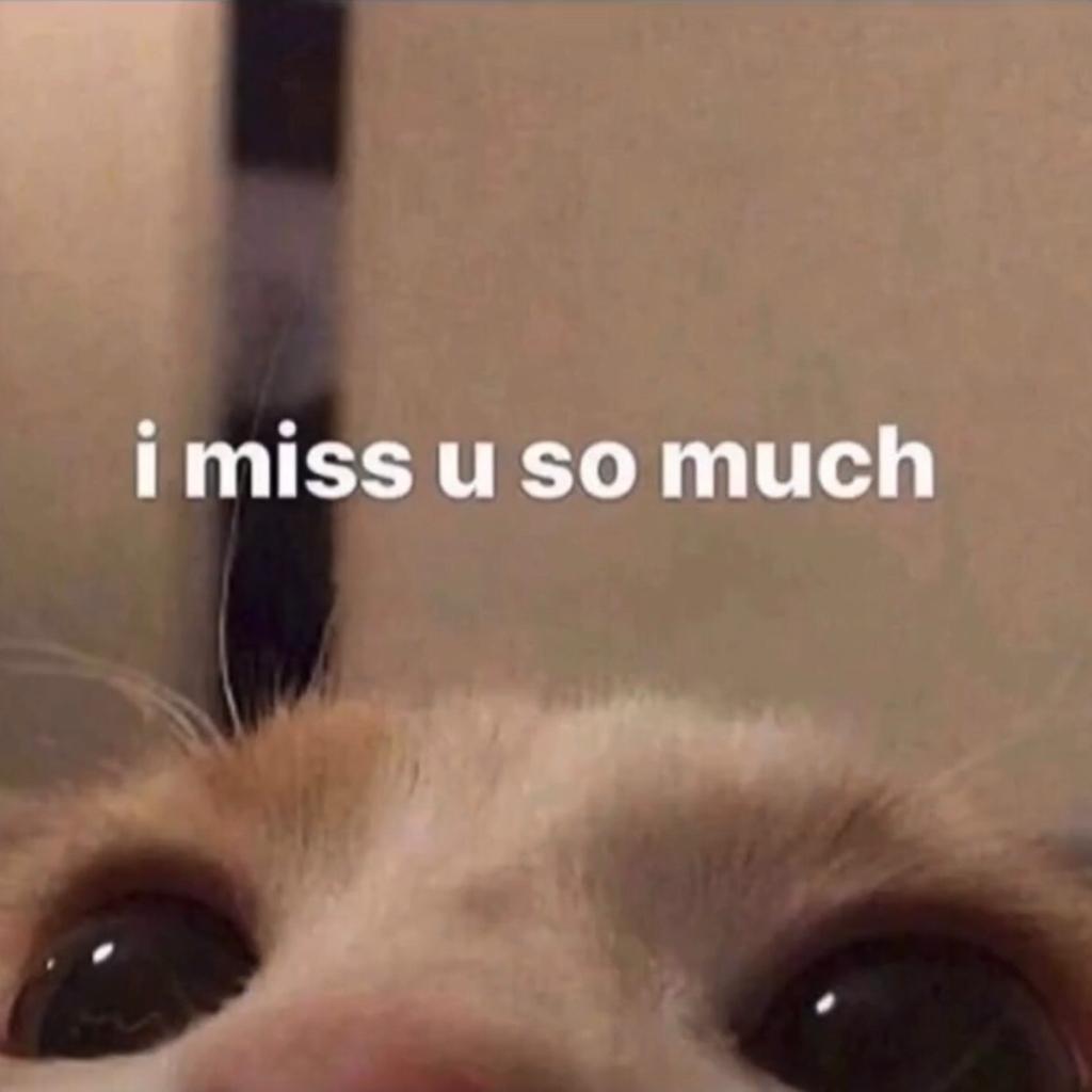 For my beloved