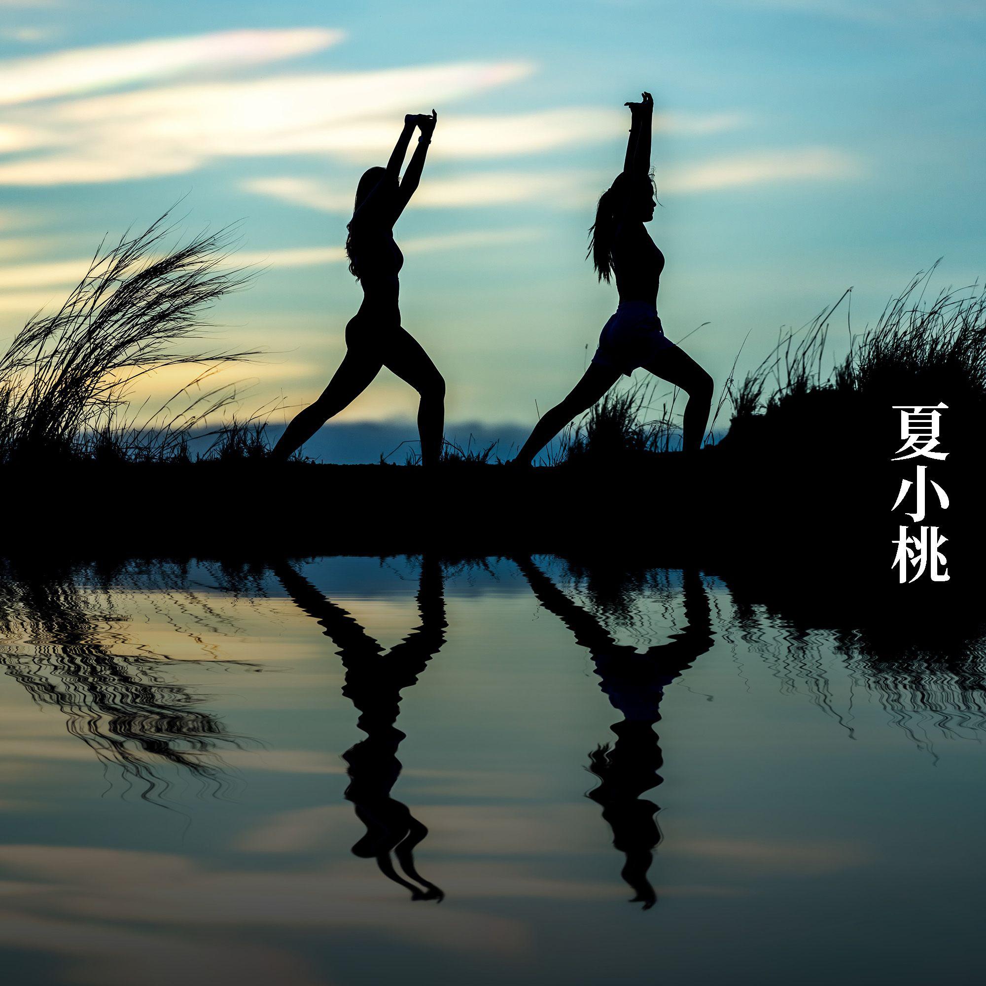 瑜伽轻音乐 纯净音乐为身心去噪除烦