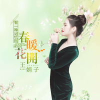 有一种记忆叫春暖花开 (原版立体声)