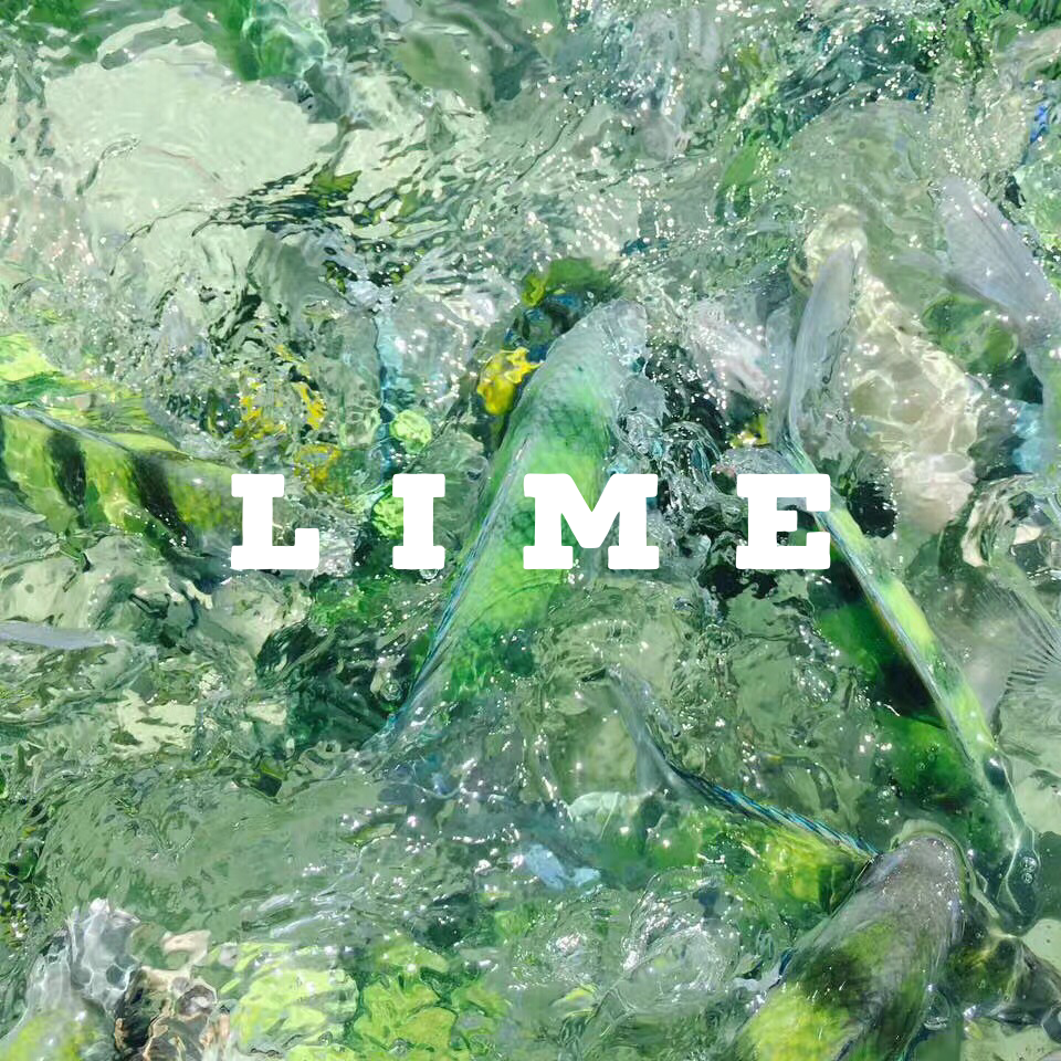 LIME专辑