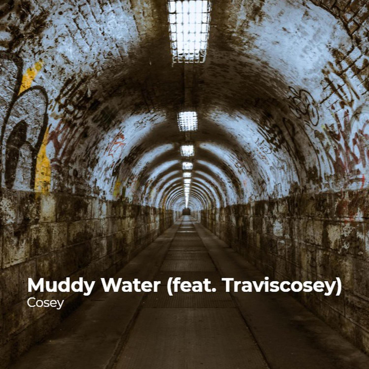 Muddy Water
