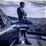 I Need You (Remixes)专辑