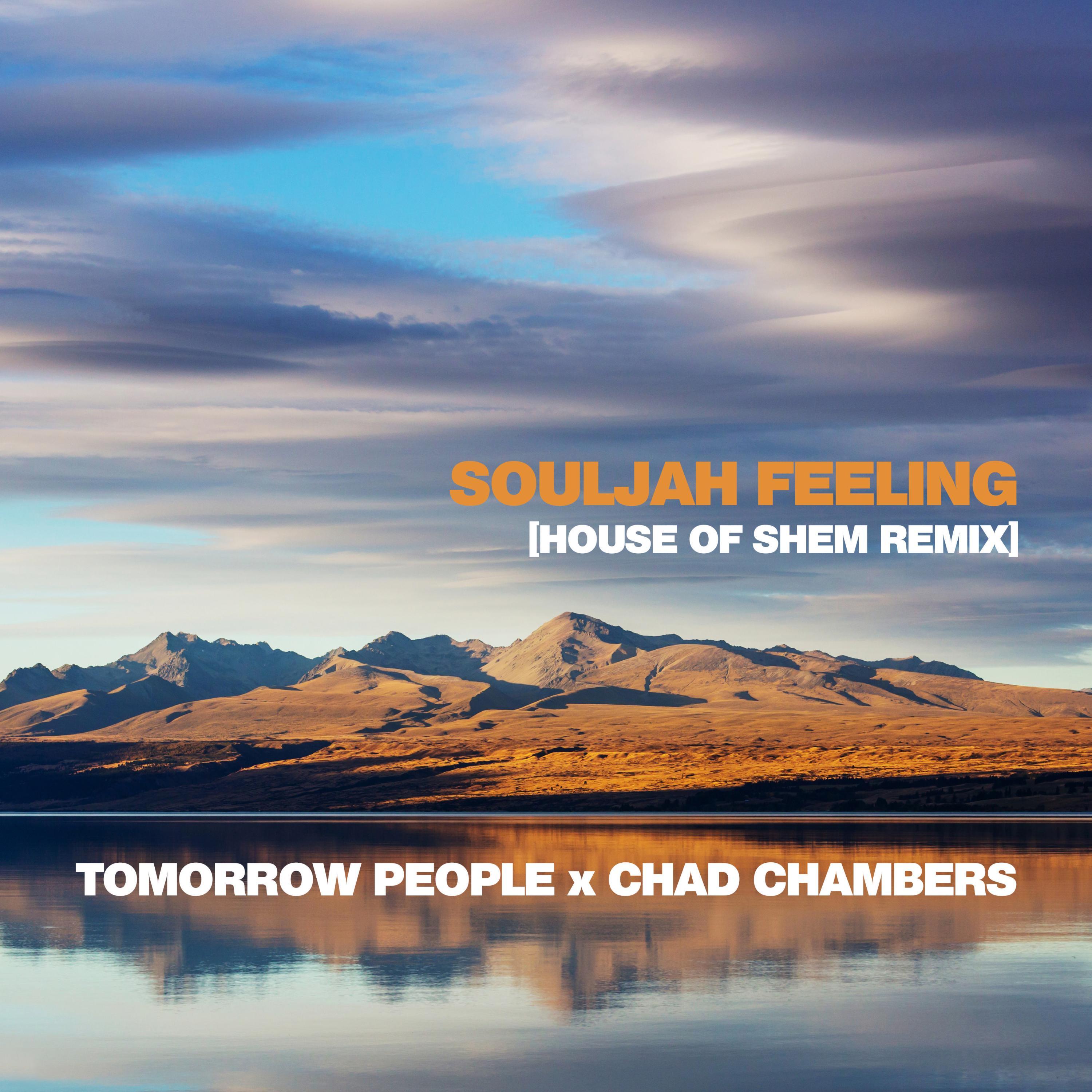 Souljah Feeling (feat. Chad Chambers) [House of Shem Remix]