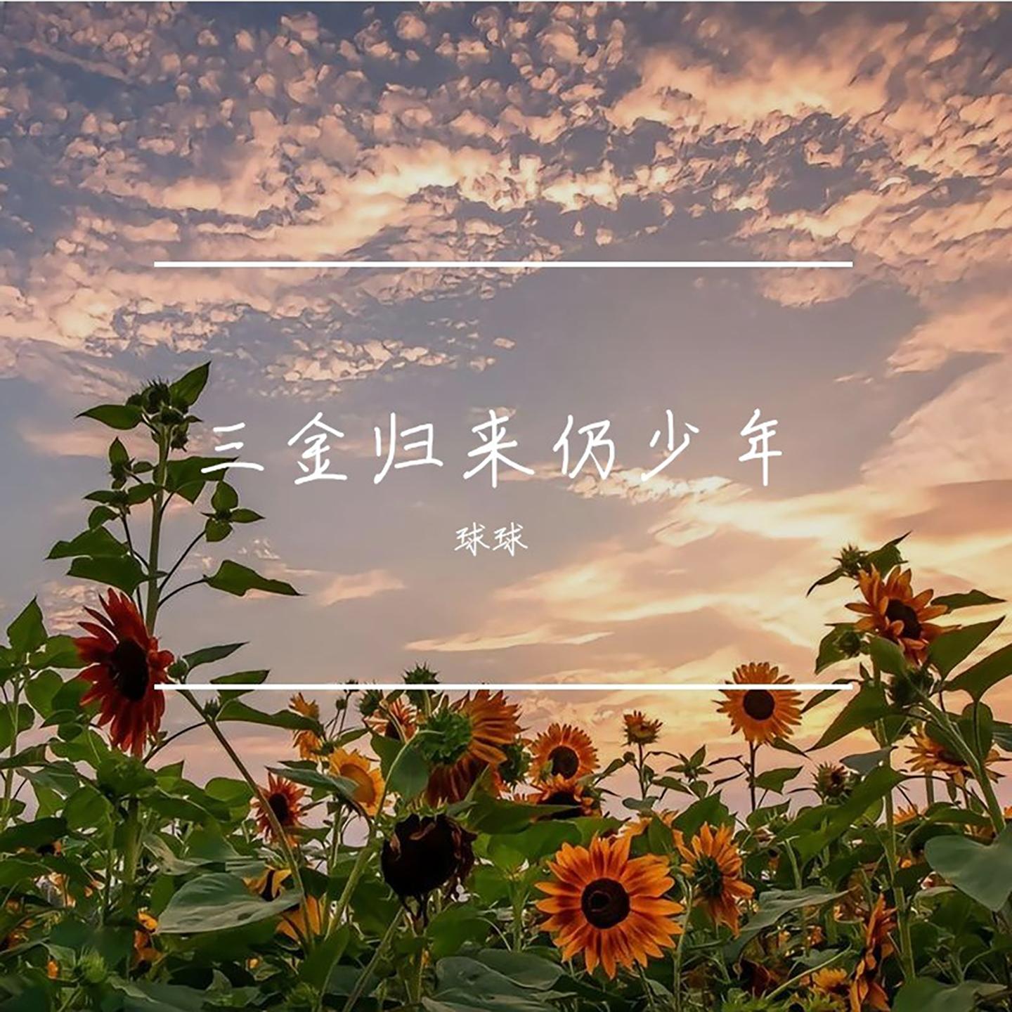 三金归来仍少年