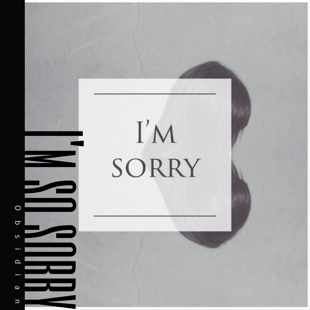 I'm so sorry专辑