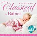 Relaxing Classical Music for Babies. Beethoven for Your Baby. Vol. 1专辑