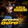 Arreio de Ouro - Toada