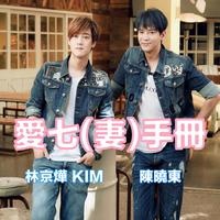 爱妻手册 消音伴奏 - 陈晓东、林京烨