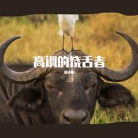 本草纲目<因为只有2分钟快做出来给JAY迷>