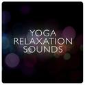 Yoga Relaxation Sounds专辑