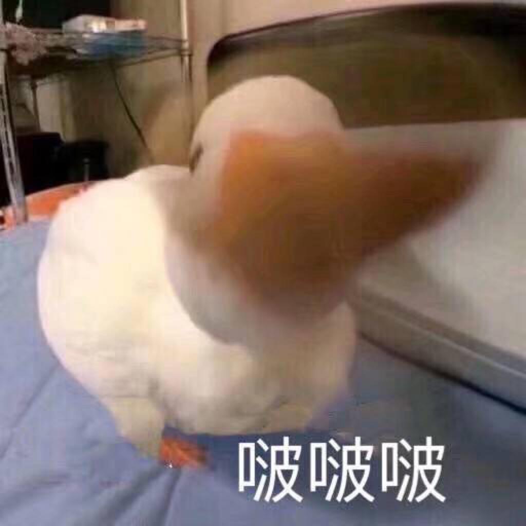 「手机铃声」只搞怪不可爱